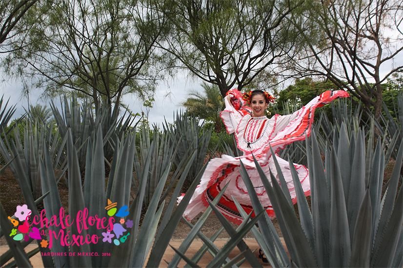 Cierra el mes patrio con mariachi y baile en la glorieta de Insurgentes