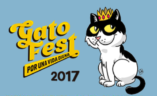 Celebra con tu minino el Gato Fest 2017