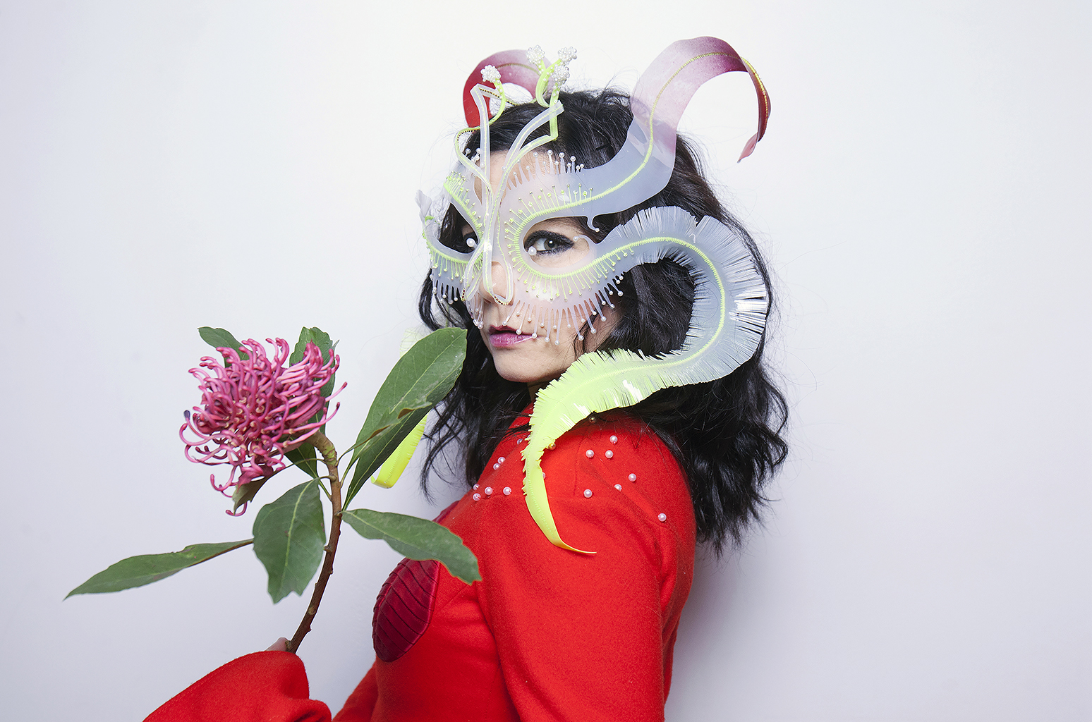 El carísimo show de Björk