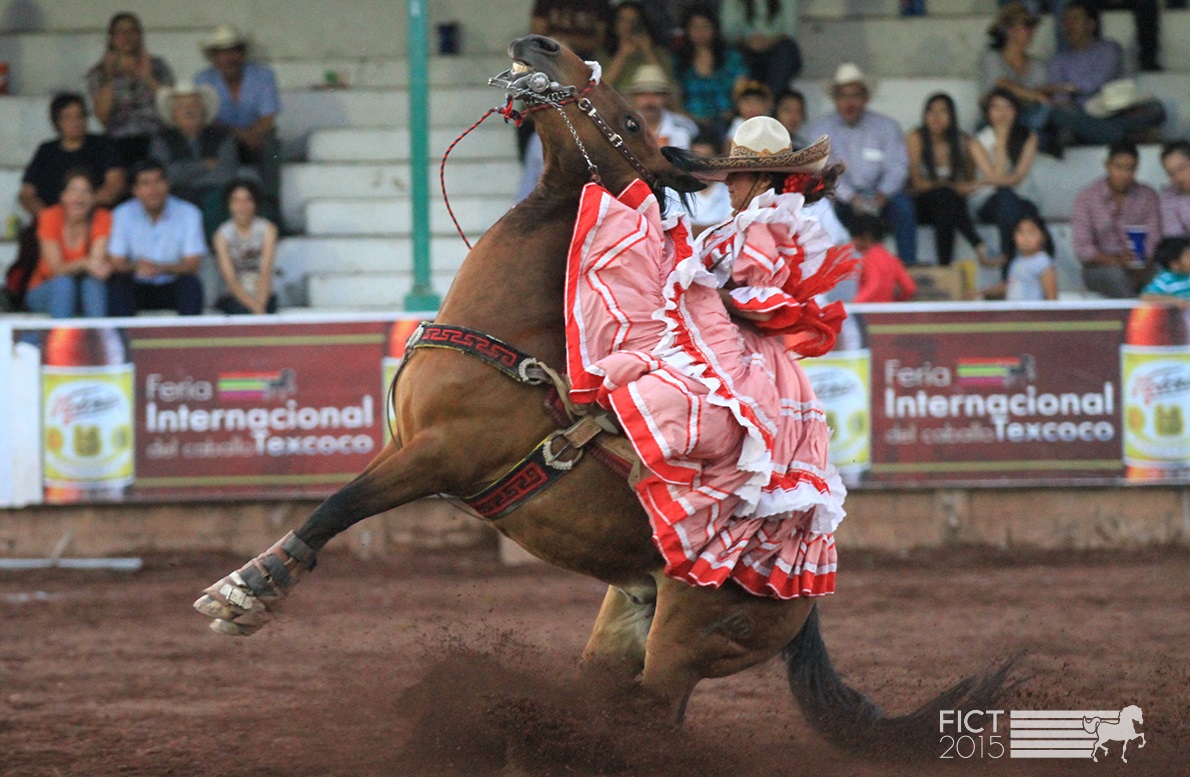 ¡Arre! llega la feria de las ferias