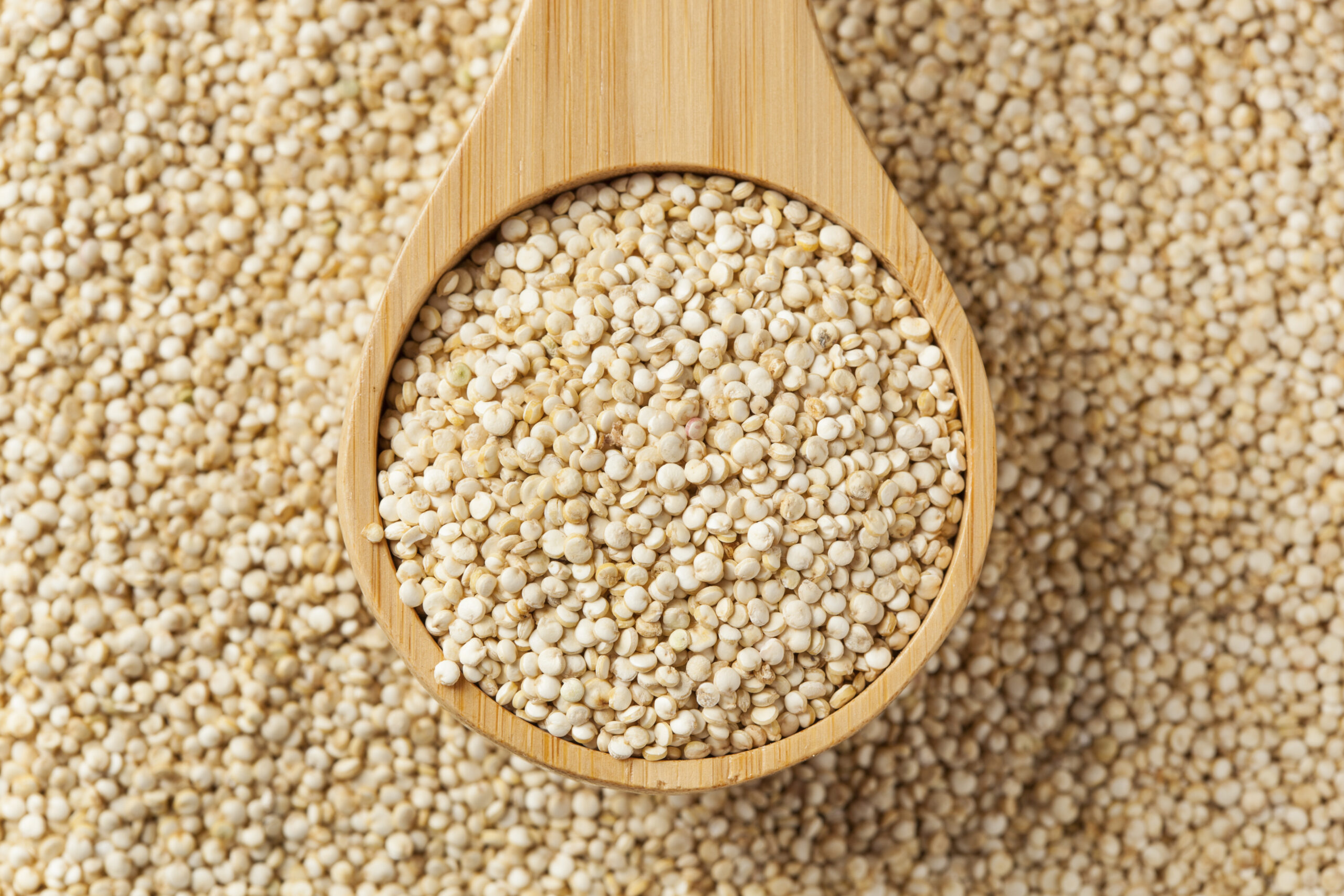 Quinoa, el super alimento