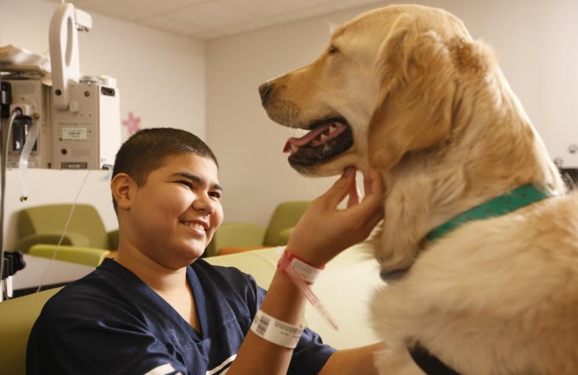 La terapia canina ayuda al mejoramiento de niños enfermos