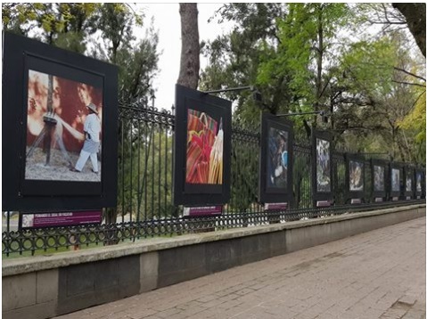 Muestra fotográfica combina música y artesanías en rejas de Chapultepec