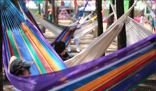 Ir al Vive Latino es como ir al Parque