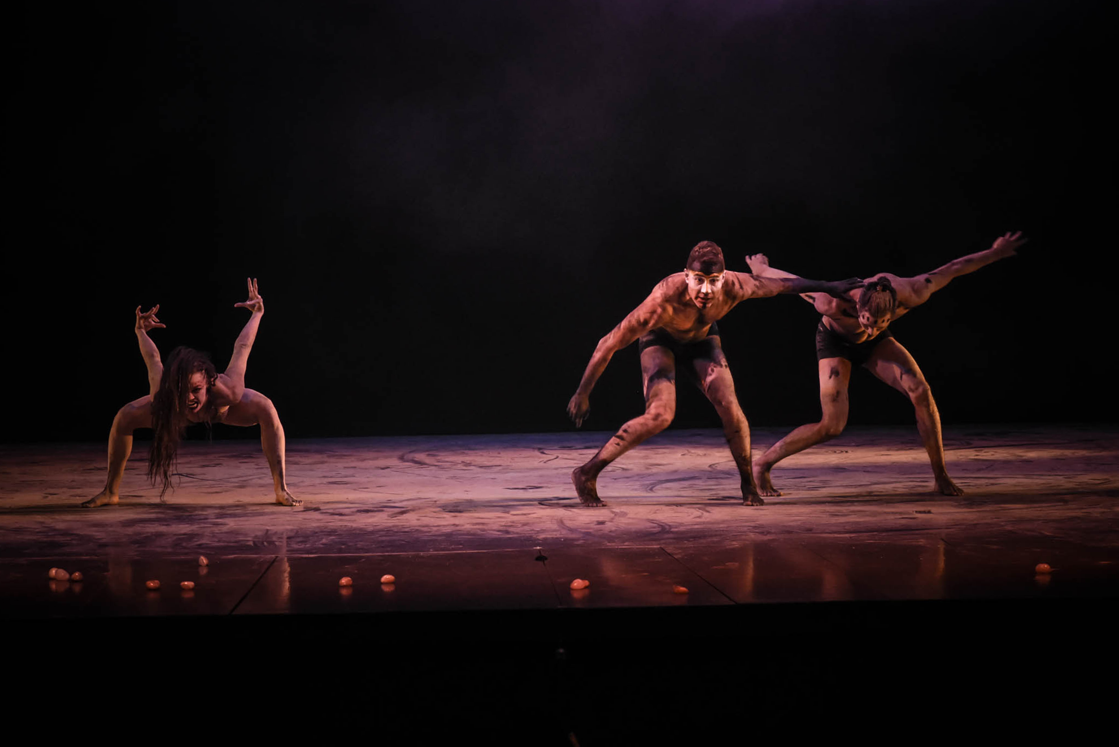 La VSS Compañía de Danza presentará la obra escénica Nahual