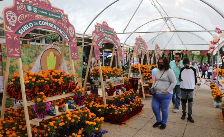 Llega a Reforma el “Festival Flores de Otoño”