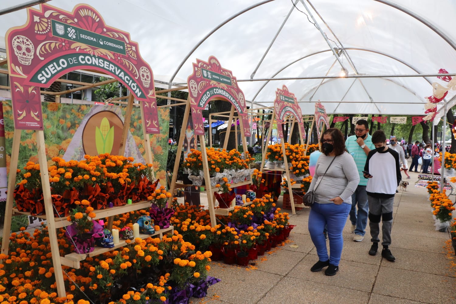 Llega a Reforma el “Festival Flores de Otoño”